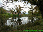 Penlan Ponds (click image to enlarge)